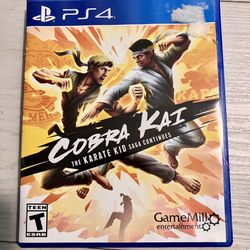 Cobra Kai Game PS4 compatible with PS5