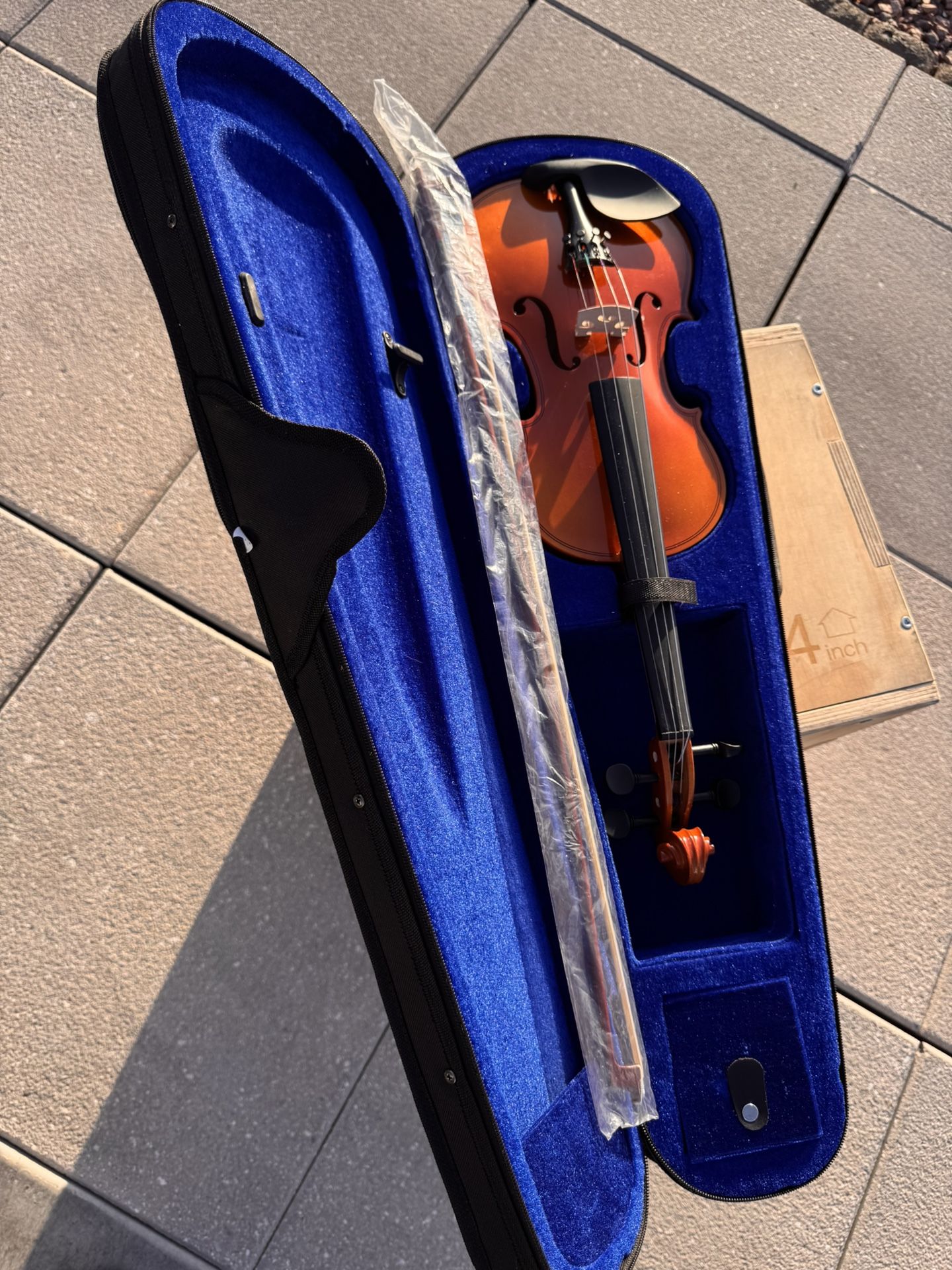 Violin