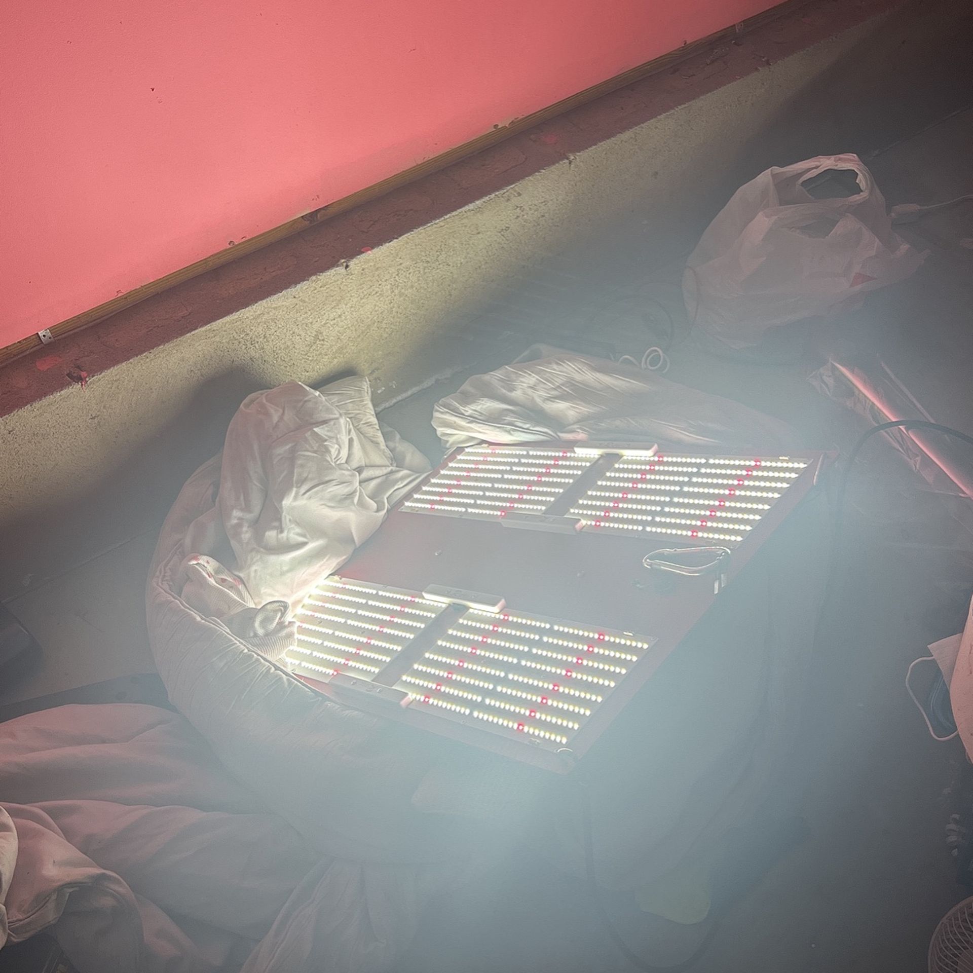 Grow Light Or Photographer Light