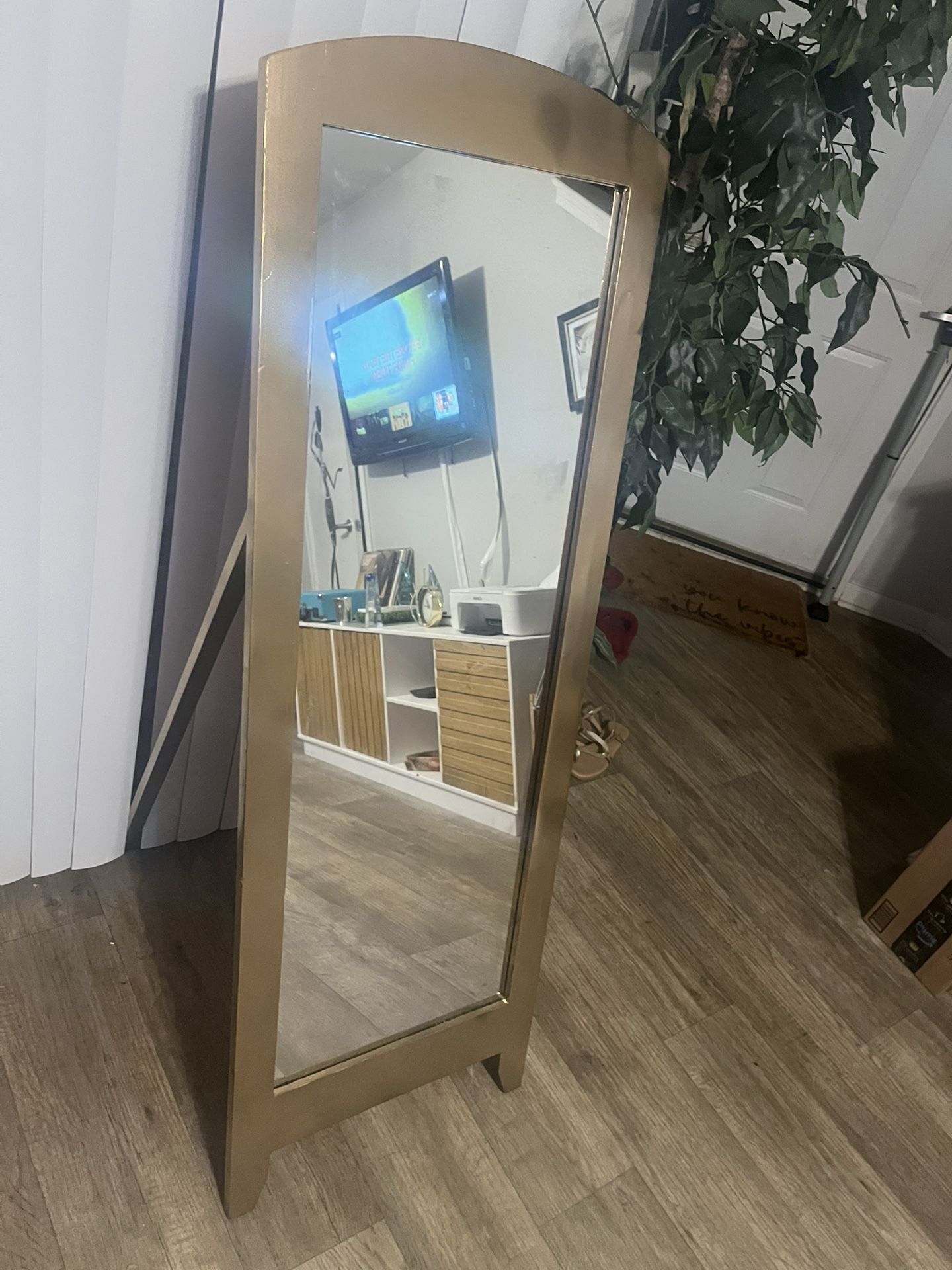 Standing Mirror 🪞
