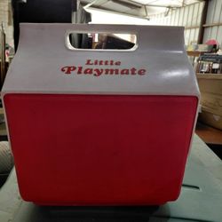 Little Playmate 