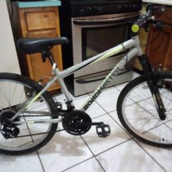 24 inch granite peak mountain outlet bike