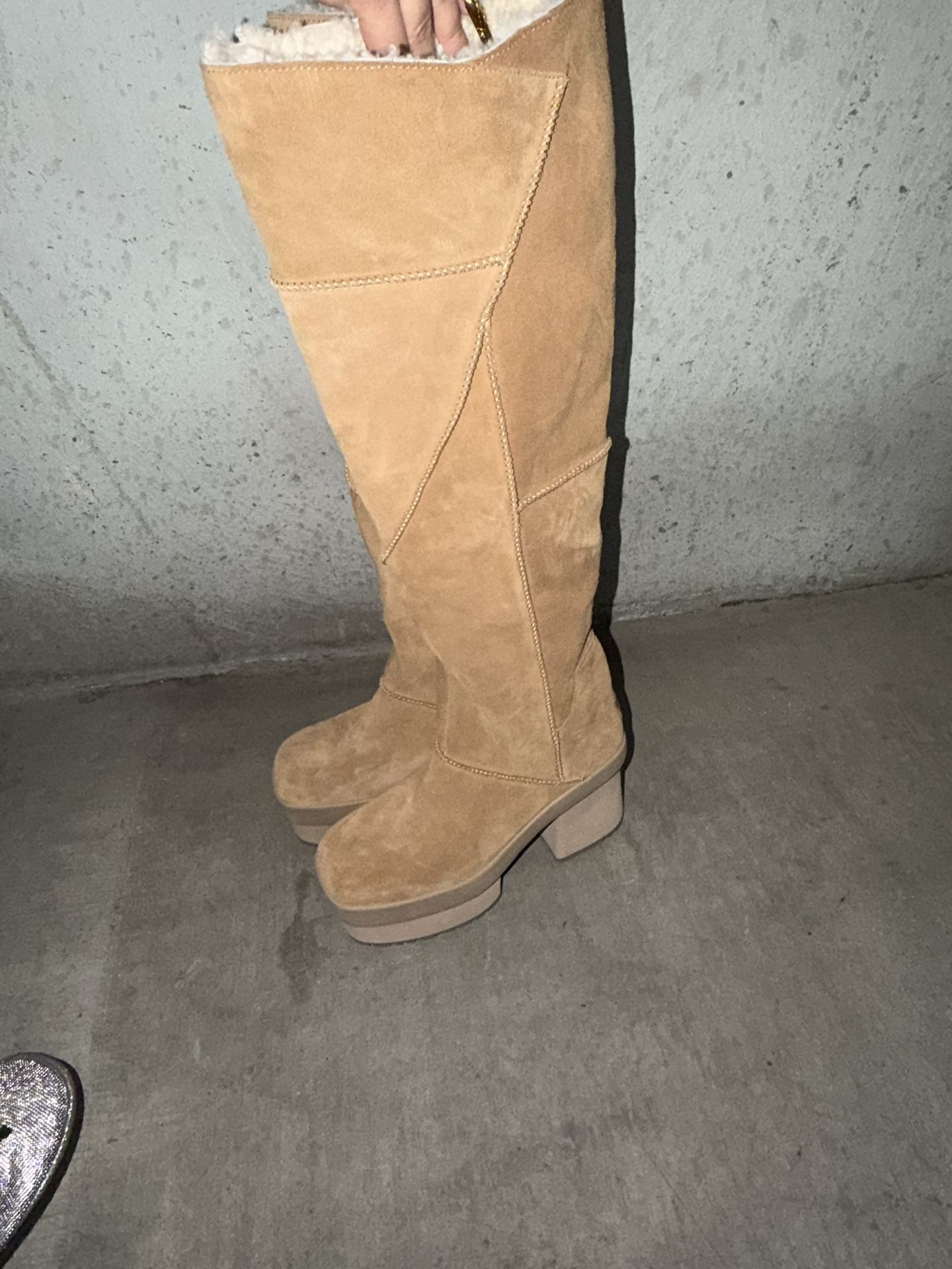 Ugg Platform Winter Boots