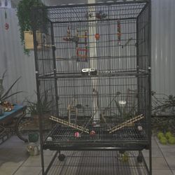 Jaula Negra Para Aves En Buenas Condiciones 