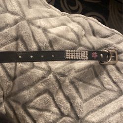 Mutt Couture Puppy Collar