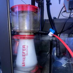 Red Sea Reefer Skimmer 300 