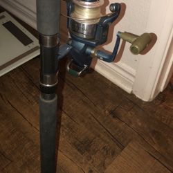 Calypso Blue Fin Rod+Reel