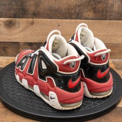 Air uptempo 95 hot sale bulls