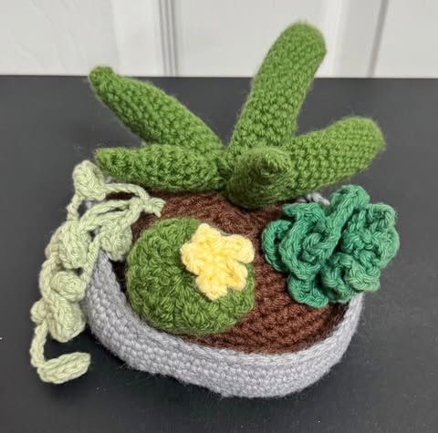 Homemade Crochet Planter Plants Weighted just $8 