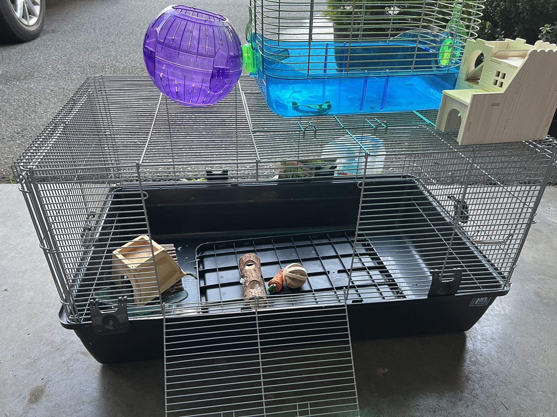 Hamster Cage And More 
