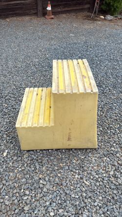 Plastic step