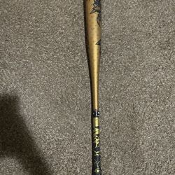 Baseball Bat