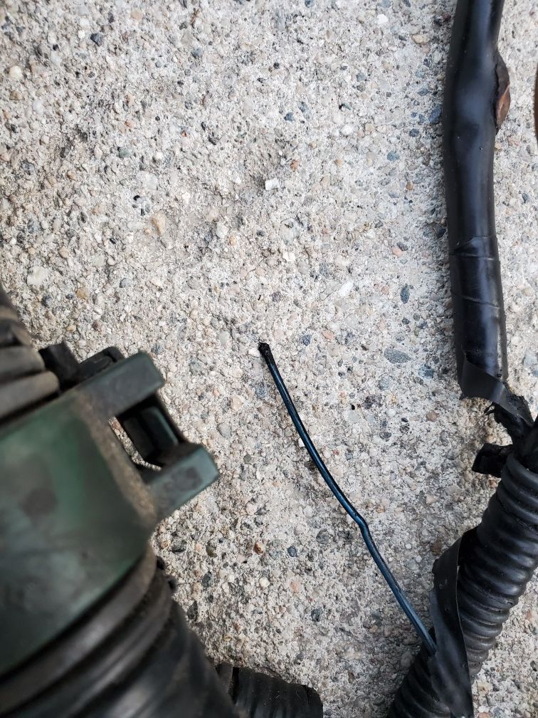 H22 engine wire harness for Sale in San Bernardino, CA OfferUp