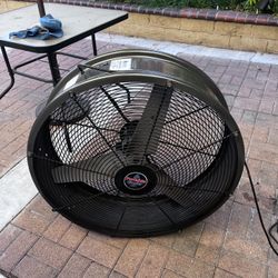 Fan