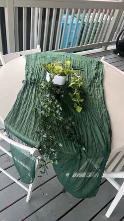 Decorative Plant Bundle