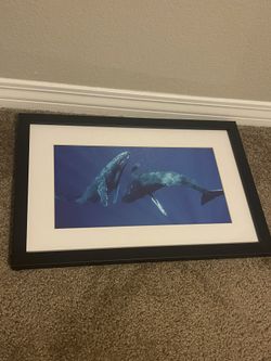 Whale Artwork