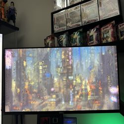 Dell 24 Inch 240 HZ Gaming Monitor Call Of Duty