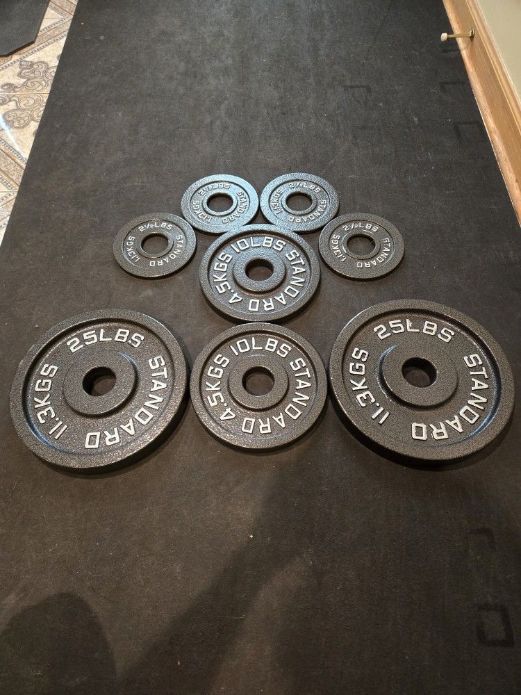 Brand New 80lb Olympic Weight Plate Set 