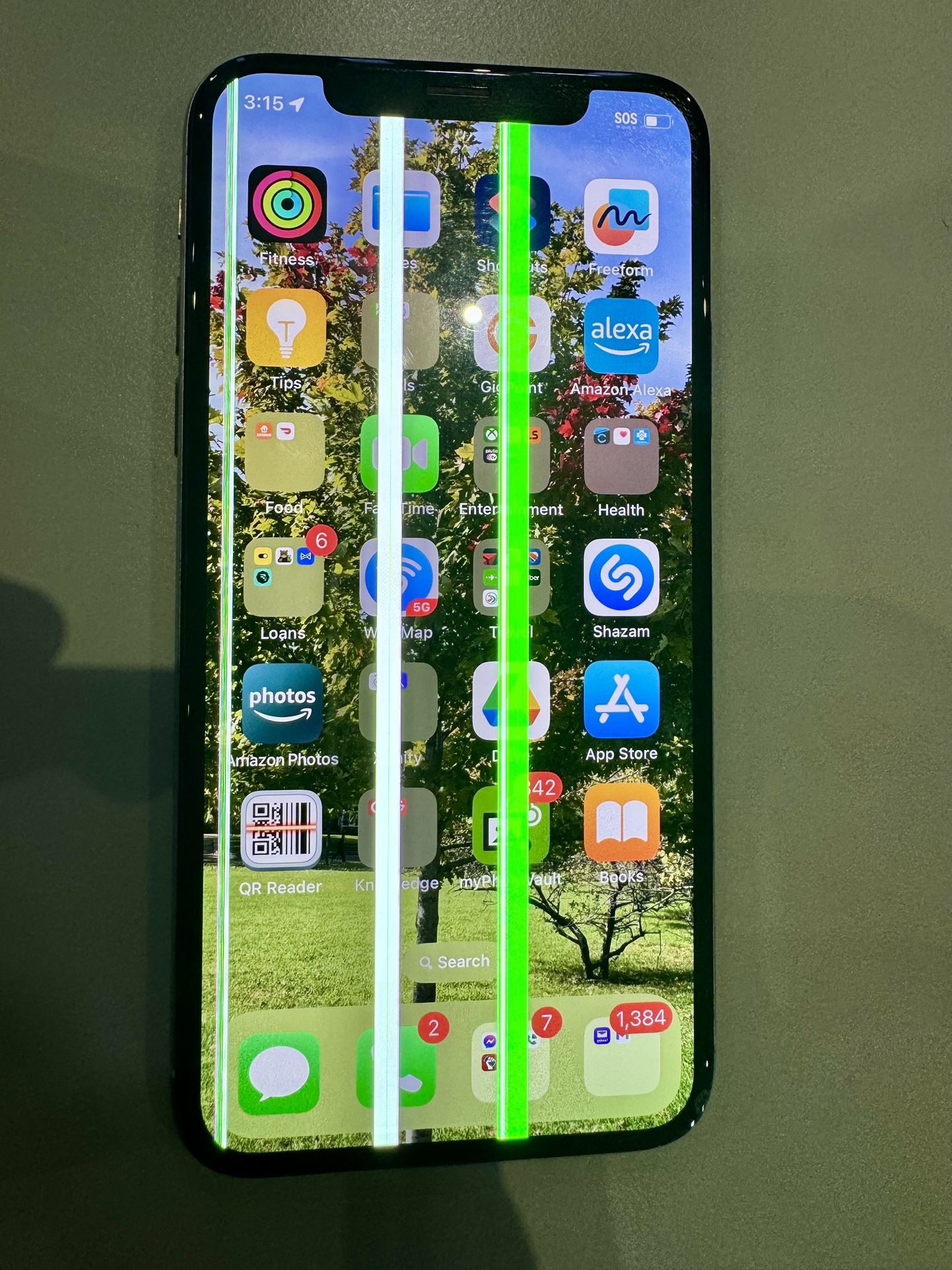 Apple iPhone X (A1901) 256 GB in Silver - Unlocked