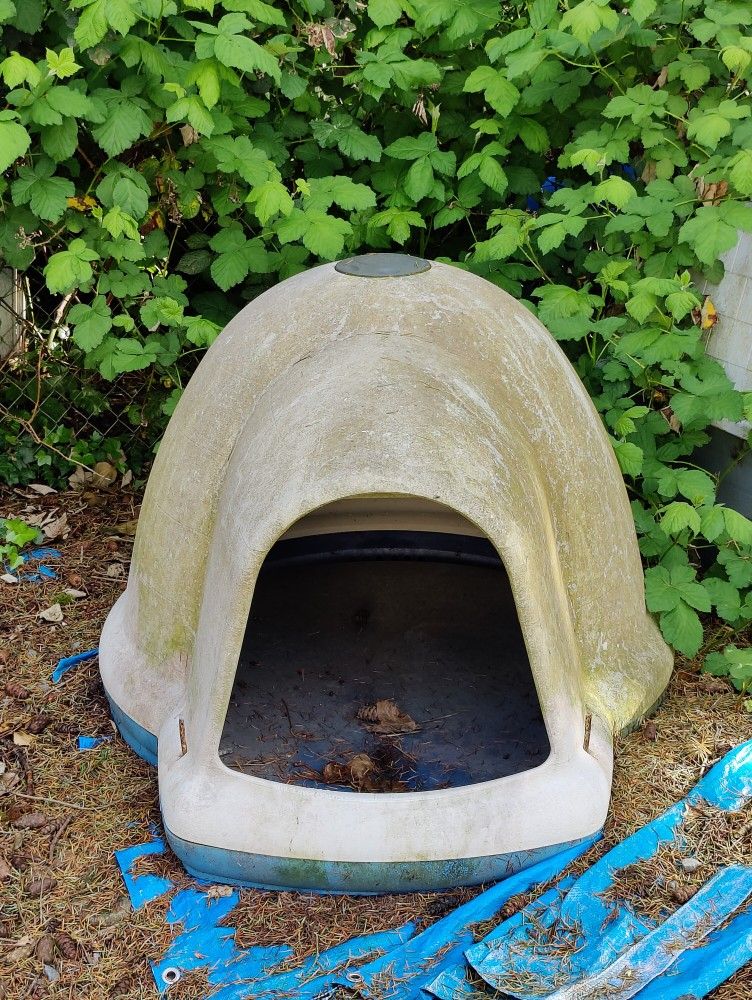 Dog House And Cage