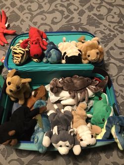 TY Beanie Baby’s