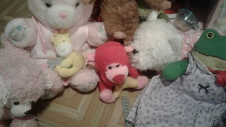 Stuffed animal lot