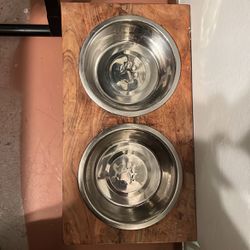 Pet Food and Water bowl set