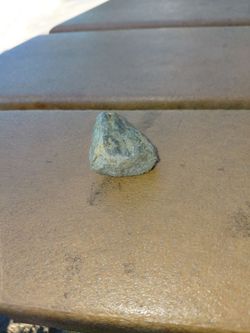 Free pet rock