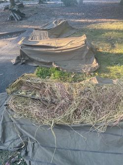 Hunting blind and geese decoys