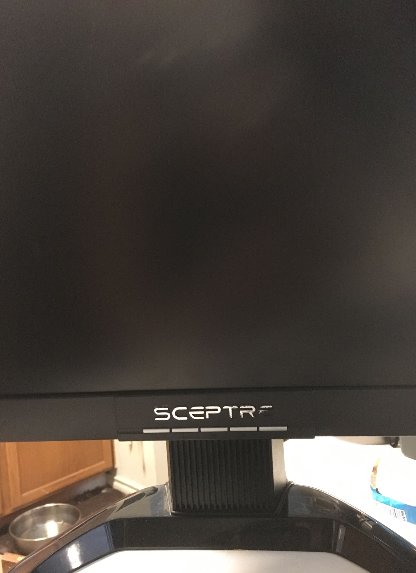 Sceptre X9G-NAGAV 19" LCD Monitor 1440 x 900