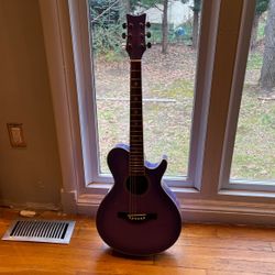 Purple Daisy Rock Guitar