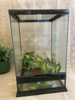 Terrarium