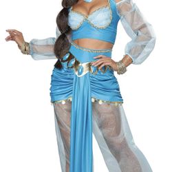 Arabian Princess Costume 