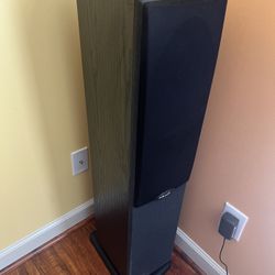 2 Tower Speakers Polk Audio