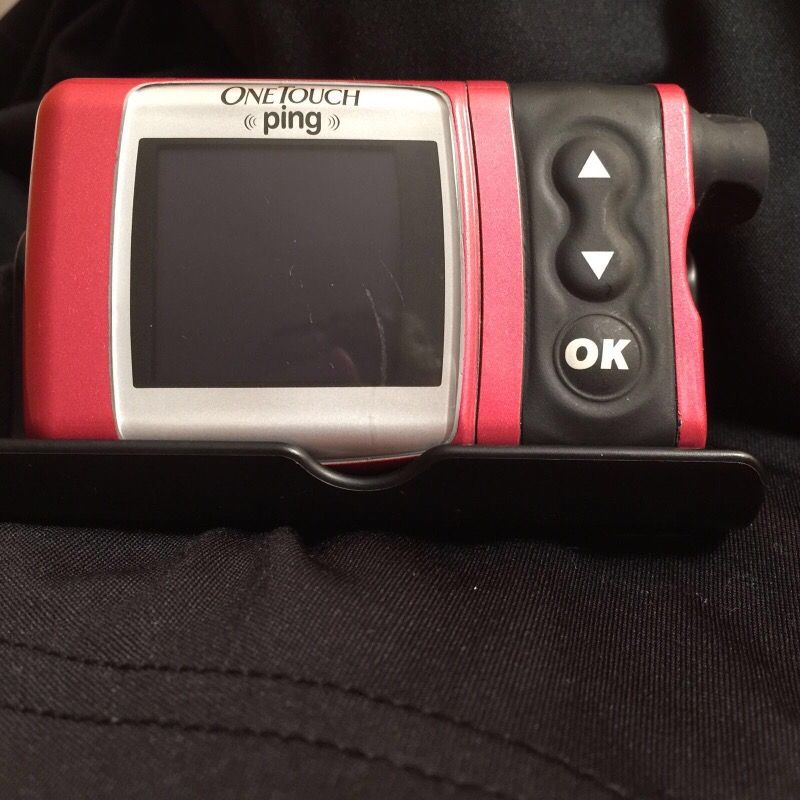 Onetouch Ping Animas Insulin Pump