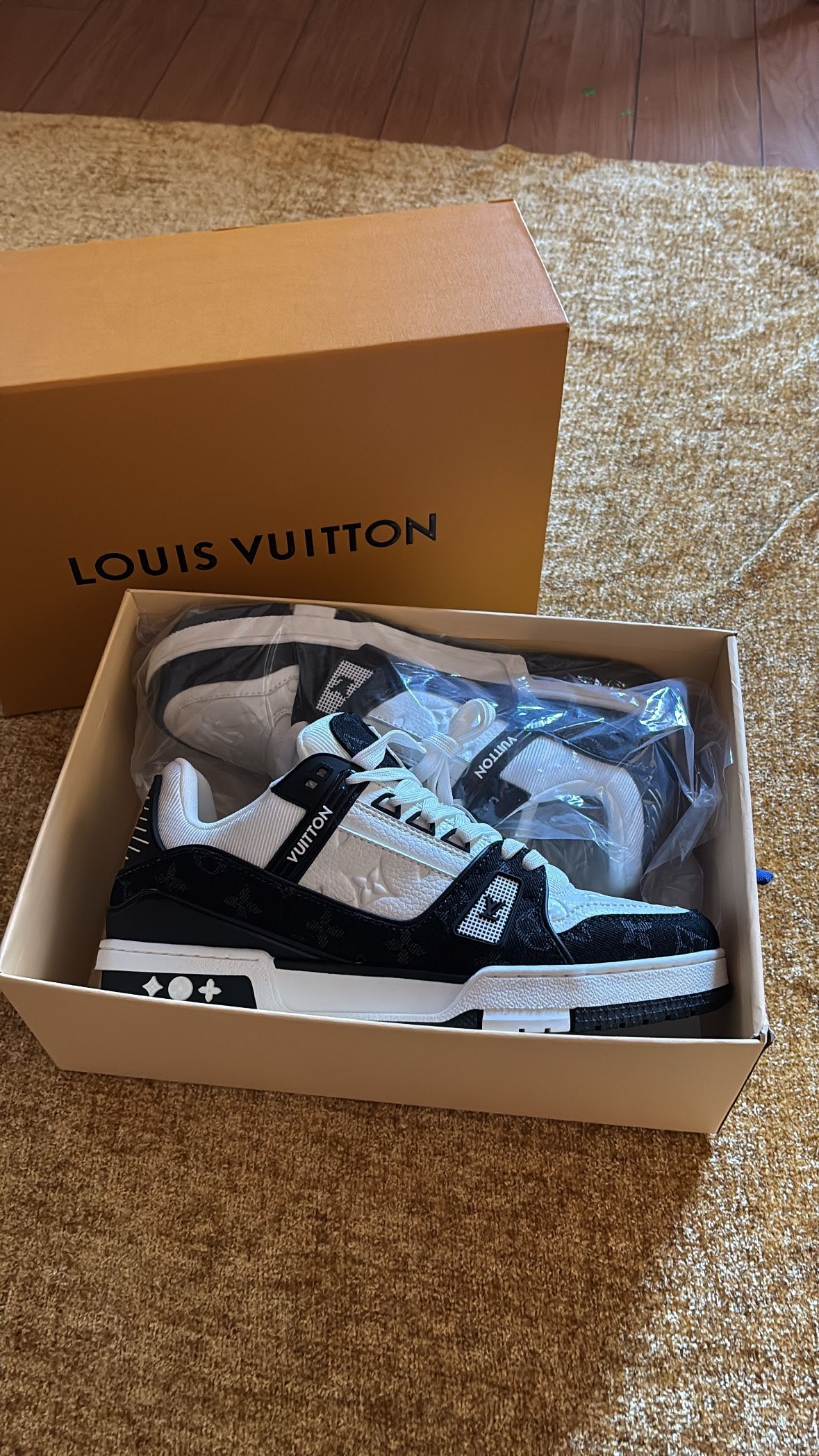 Louis Vuitton Shoes