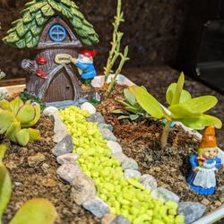 Gnome Mini Garden