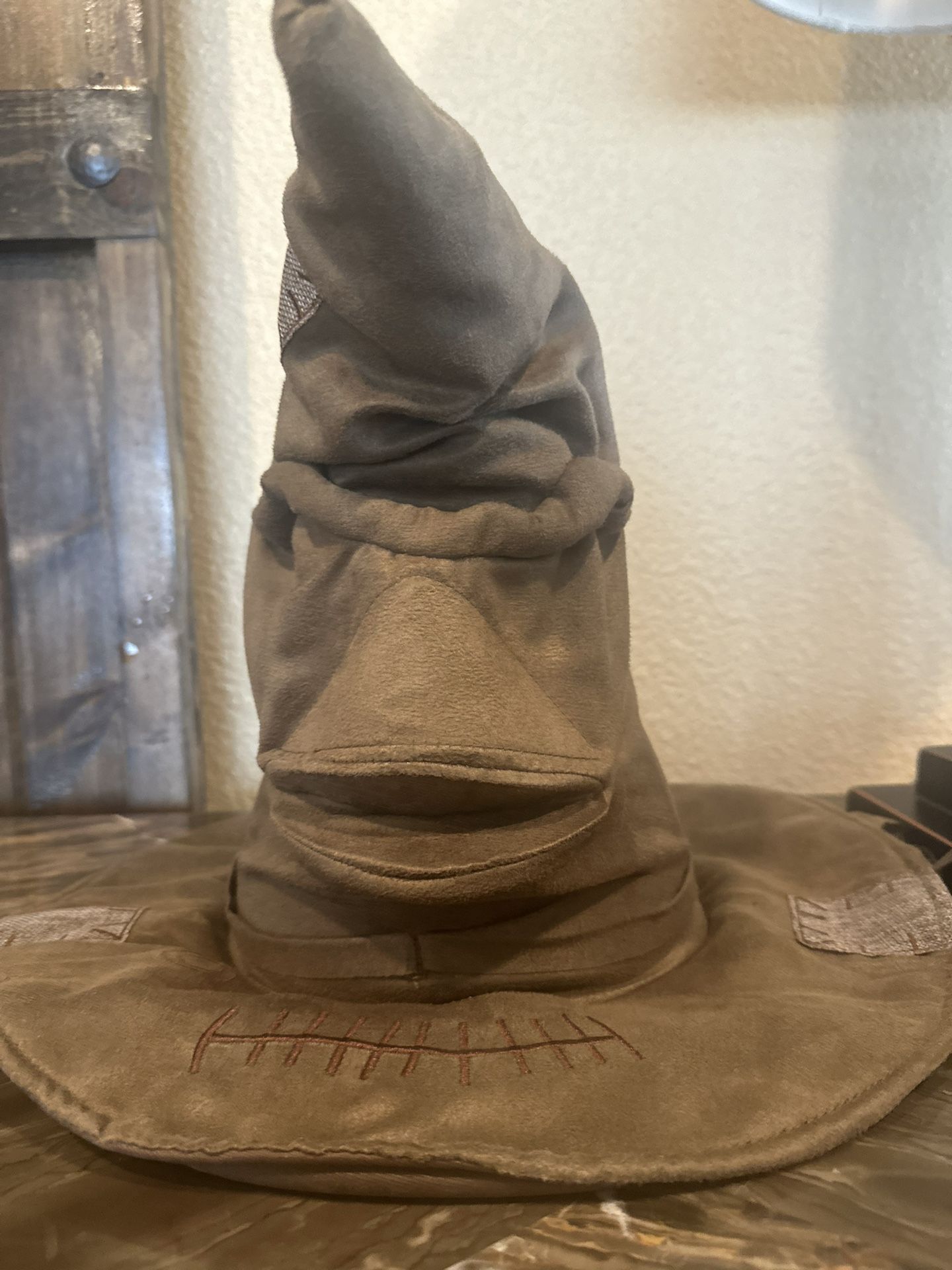 Harry Potter Hat