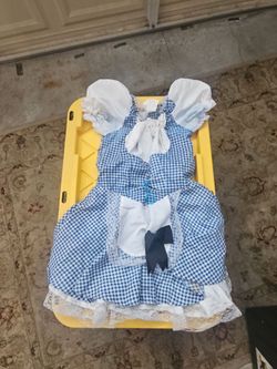 Holloween Costume