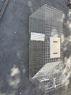 Cat trap