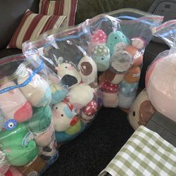Huge Squishmallow Collection – MUST SELL