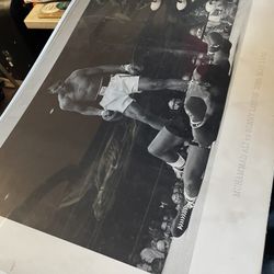 Muhammad Ali Posts. Great Condition 