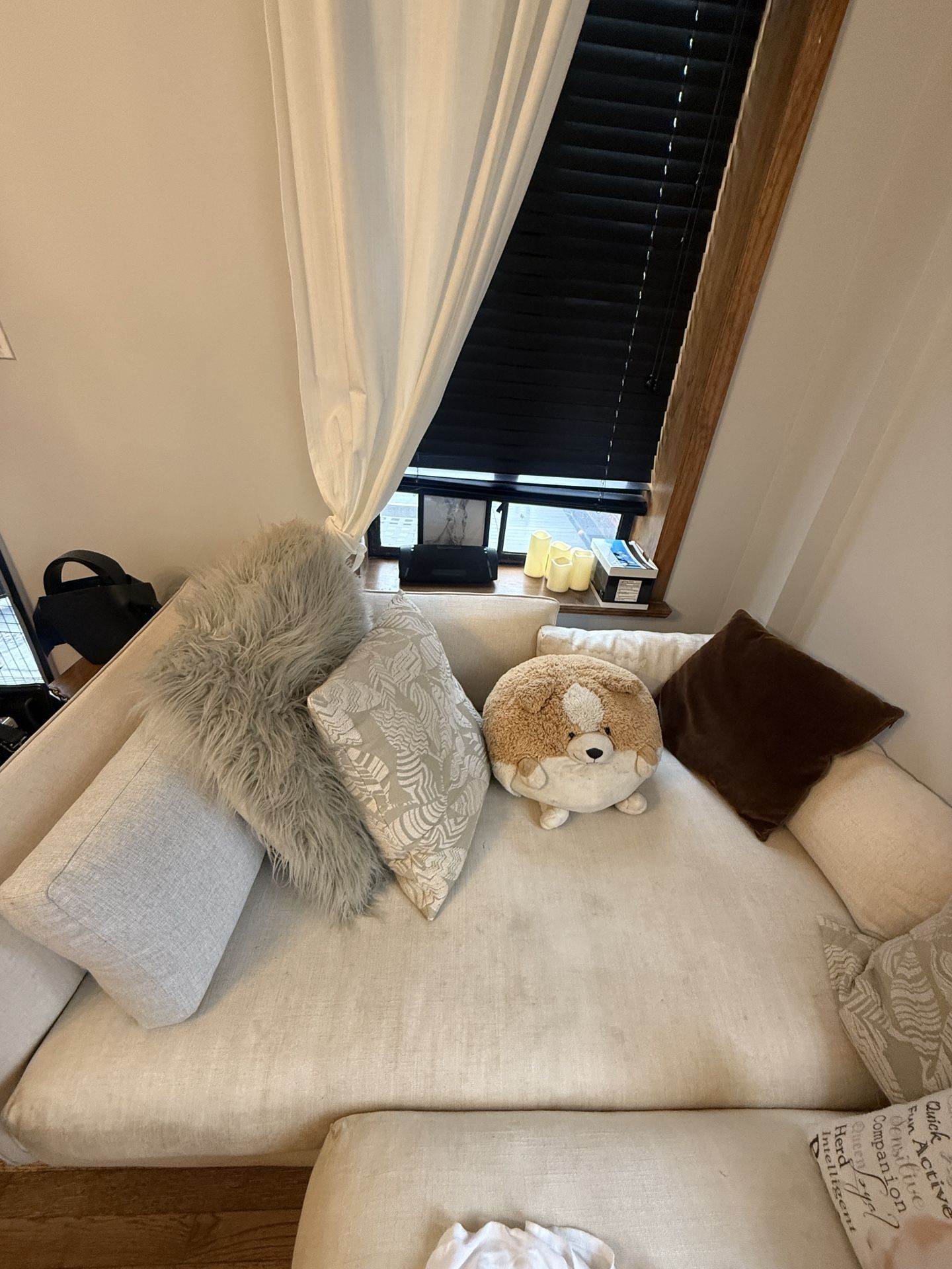 Free Sectional Couch