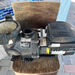 Jandy Pool Pump 