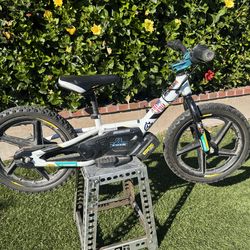 Stacyc  16 Husqvarna, brushless Edrive