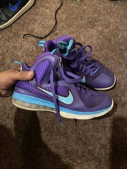 Lebron Hornets Size 9.5 