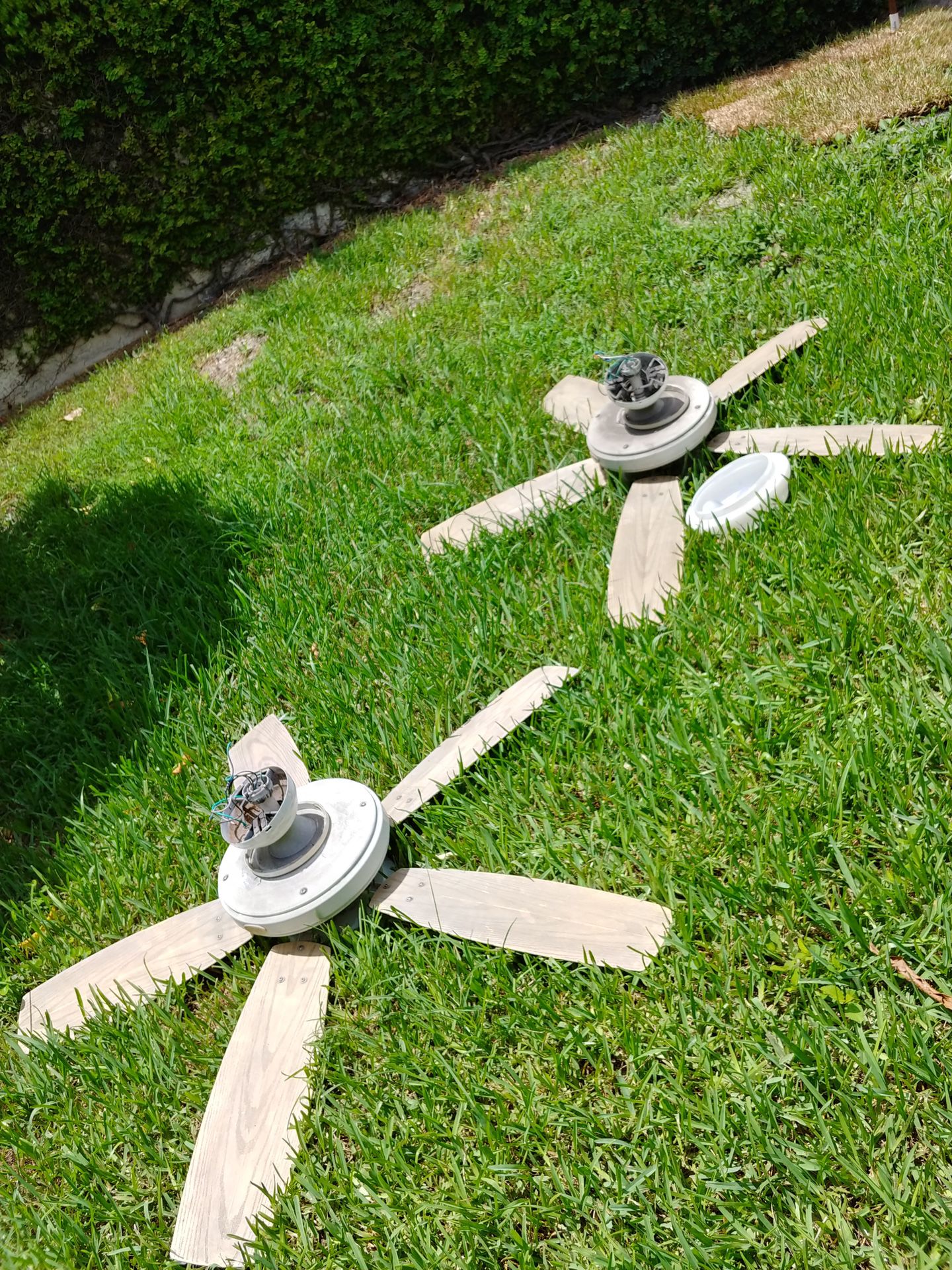 FREE CEILING FANS (2) - outdoor/ patio fans