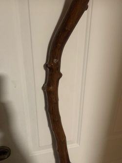 Moses walking staff
