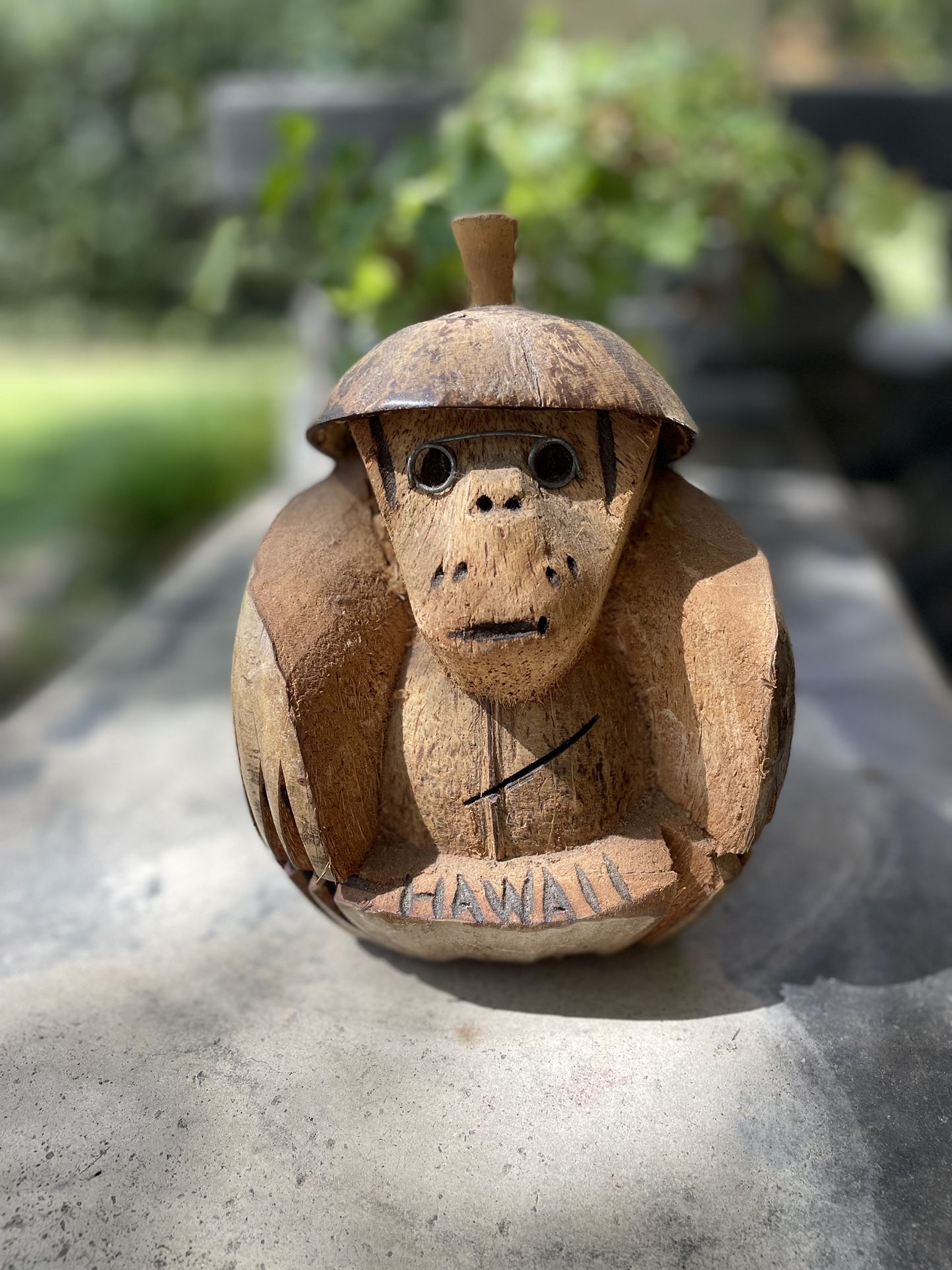 Hand-Carved Coconut Monkey Bank – Hawaii Souvenir & Tiki Bar Decor