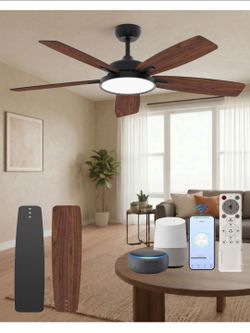 Roomratv 52 Inch Smart Ceiling Fan with Light,App Control,Ultra Silent Reversible DC Motor Fan Remote Control Compatible with Alexa Google home（black）